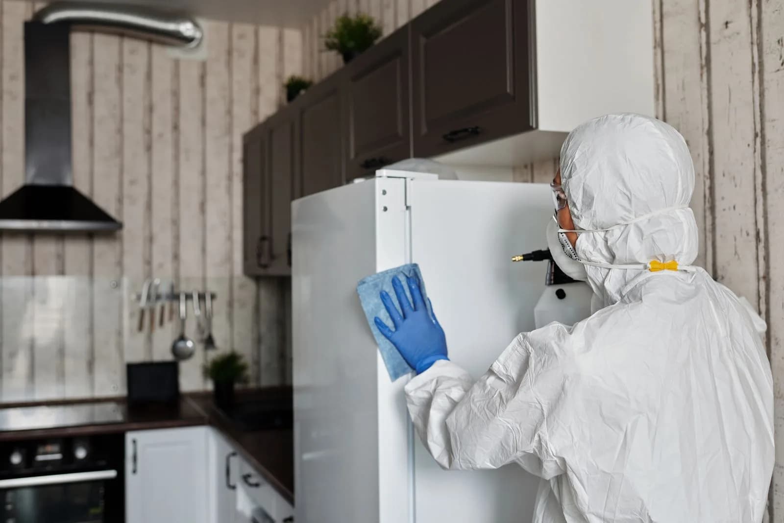 Fahrzeugeinrichtung für Schädlingsbekämpfung und Gebäudedesinfektion: Das Servicefahrzeug für den Hygiene-Kundendienst